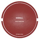 Newball - Perfection Original Mix
