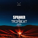SPANKR Tripbeat feat Tara Gabriel - Stories Original Mix