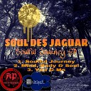 Soul Des Jaguar - Mind Body Soul Original Mix