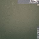 Dee Point - Purity Pointless Pure Mix