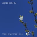 Сергей Бобунец - Просто музыка, просто слова