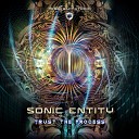 Sonic Entity - Trust The Process Original Mix