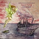 David Surok - Neverland Original Mix