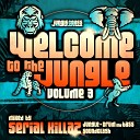 Deekline FeyDer Steppa Style feat Ragga Twins - Sound Burial Original Mix
