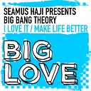 Big Bang Theory - Make Life Better Original Mix