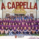 A Cappella Academy - Leave Me Alone Almost Midnight