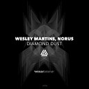 Wesley Martins N rus - Diamond Dust Original Mix