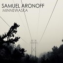 Samuel Aronoff - Hid in the Fog