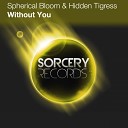 Spherical Bloom Hidden Tigress - Without You DJ Abscence Remix