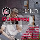 D jamency - Transit Original Mix