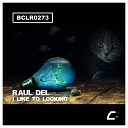 Raul Del - I Like To Looking Original Mix