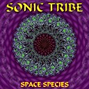 Sonic Tribe - Mama India