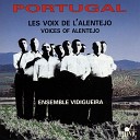 Ensemble Vidigueira - O Menino