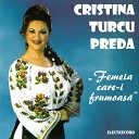 Cristina Turcu Preda - De Ce Doamne Ai L sat