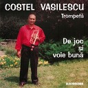 Costel Vasilescu - Hora De La Dobreni