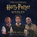 Peter Hollens - The Ultimate Harry Potter Fan Theory Medley Hedwig s Theme Fawkes the Phoenix Double Trouble Underwater Secrets…