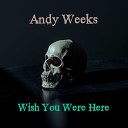 Andy Weeks - Wish You Were Here