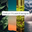 Naturger usche Meditationsmusik - Stille Meditation