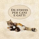 Musica Terapeutica Naturale - Suoni per gatti
