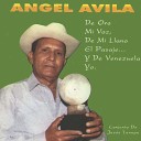 Angel Avila El Conjunto De Jes s Tenepe El Conjunto De Jes s Tenepe Angel… - Llanero Siente Y Lamenta