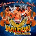 Trio Halcon Huasteco - Quien es usted