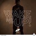 AVICII - WAKE ME UP REMIX