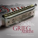 Sigmund Groven - Aften P H yfjellet Op 68 1