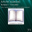David Surok - Breeze Konstantin Svilev Remix