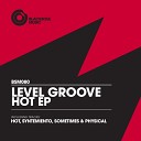 Level Groove - Hot Original Mix