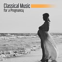 Pregnancy Music Academy Relaxing Piano Music Consort Classical Music… - Six Pieces on One Theme Op 21 VI Scherzo