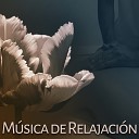 Relaxing Music Therapy - Tiempo Libre