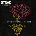 Strad Sounds - What Do We Want To Feel
