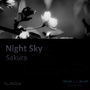 Night Sky - Sakura Original Mix