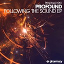 Profound - This Is A Journey Into Sound