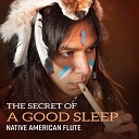 Native Classical Sounds - The Sleep Shaman