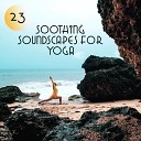 Mantra Yoga Music Oasis - Colours of the Forest