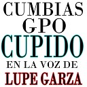 Grupo Cupido - Bot n de Rosa