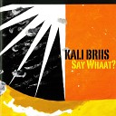 Kali Briis - Fallout Intermission