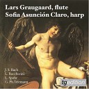 Sofia Asunci n Claro Lars Graugaard - Sonata in E Flat Major BWV 1031 I Allegro…