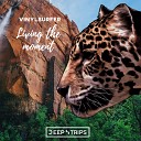 Vinylsurfer - Living The Moment Original Mix