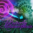 Butterfly Metamorphosis Masters - Soul Selfie