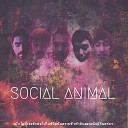 SOCIAL ANIMAL feat Yo Teddy Ska Band DJ Lovebuzz Bom Poomjit Bom Supersub Champ Violin Jung… - Unknown