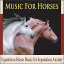 The Suntrees Sky - Harp for Horses