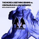 The Mord Seething Brains Centaurus B Low… - Revolutionary Situation Original Mix