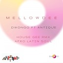 Dwongo feat Antiq e - Mellowdee Afro Latin Soul