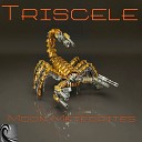 Triscele - Ballonatic Original Mix