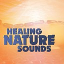 Sleep Music with Nature Sounds Relaxation Nature Sounds Nature Music Soundscapes The Natural Healing Project Dreams of… - Soothing Wind