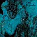 Hidden By The Grapes - Deviated Light