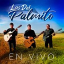 Los Del Palmito - Flor Hermosa