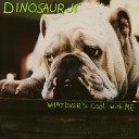 Dinosaur Jr. - Pebbles + Weeds